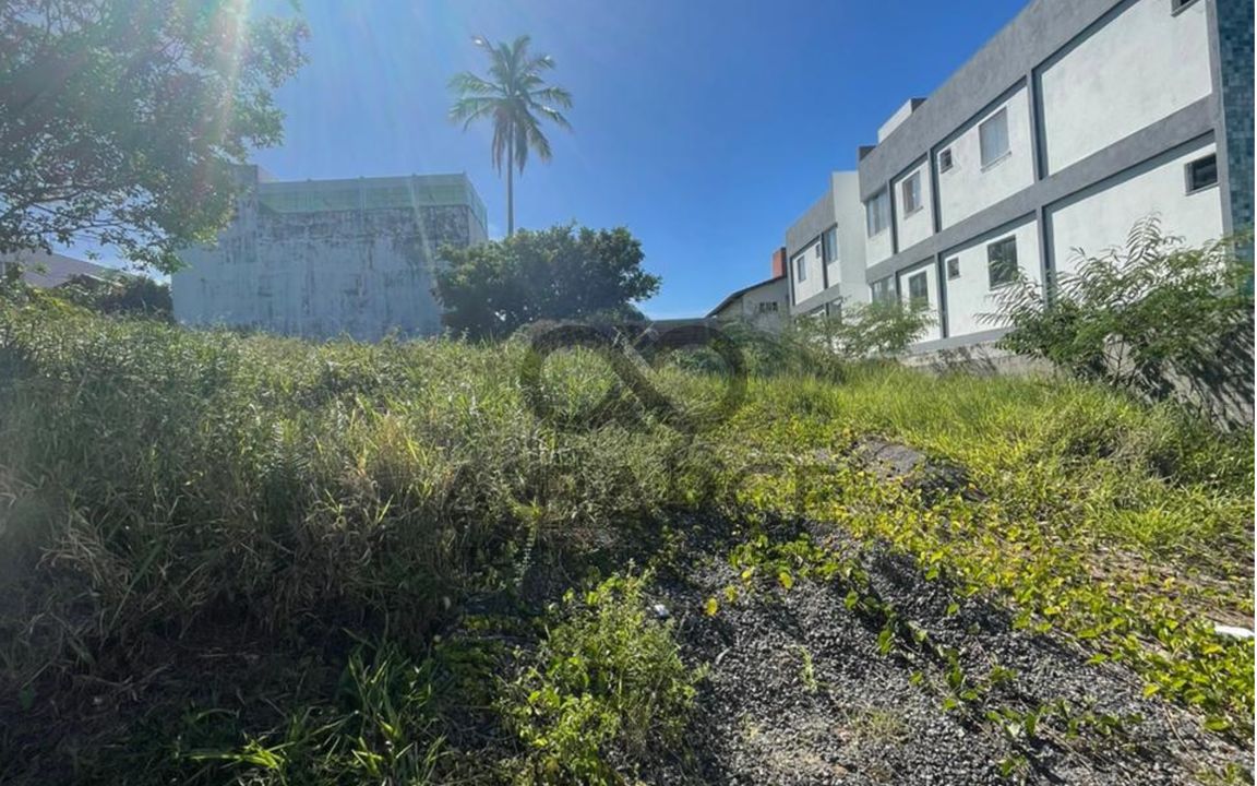 LOTE 539M²  – LOTEAMENTO PÉROLA DO MAR – ILHÉUS/BA - Imagem 2