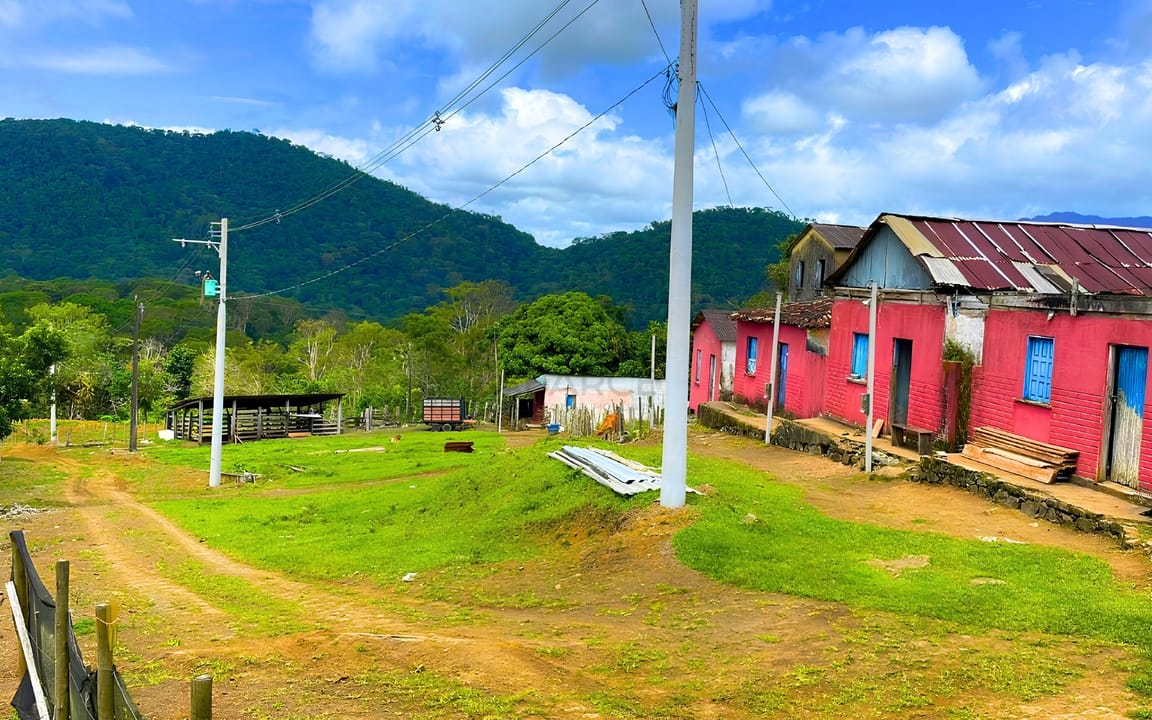 FAZENDA JUSSARA 52HA - BARRO PRETO - COARACI/BA - Imagem 4
