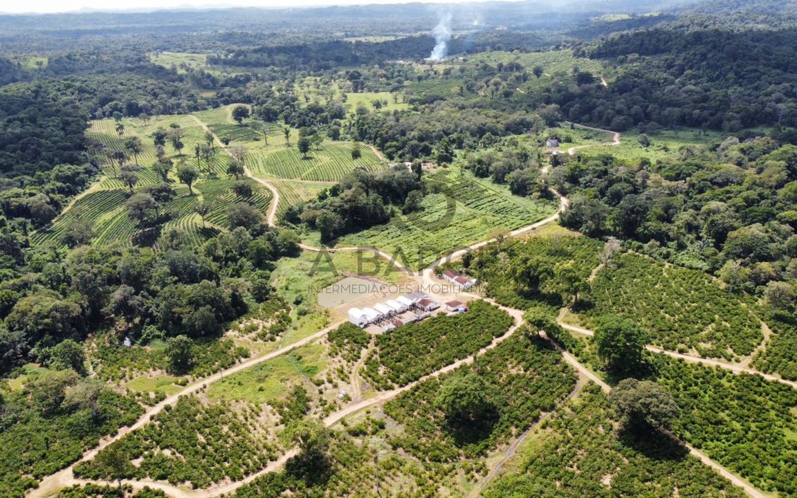 FAZENDA DUAS BARRAS E SOSSEGO 205 HA – ZONA RURAL - ILHÉUS/BA - Imagem 2