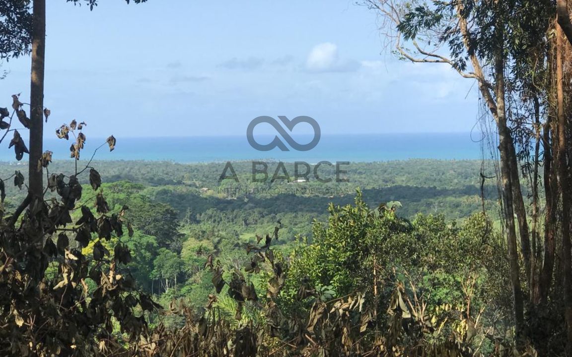 SÍTIO SÃO JORGE  2.600 HA –  VILA TIBINA – IILHÉUS/BA - Imagem 2