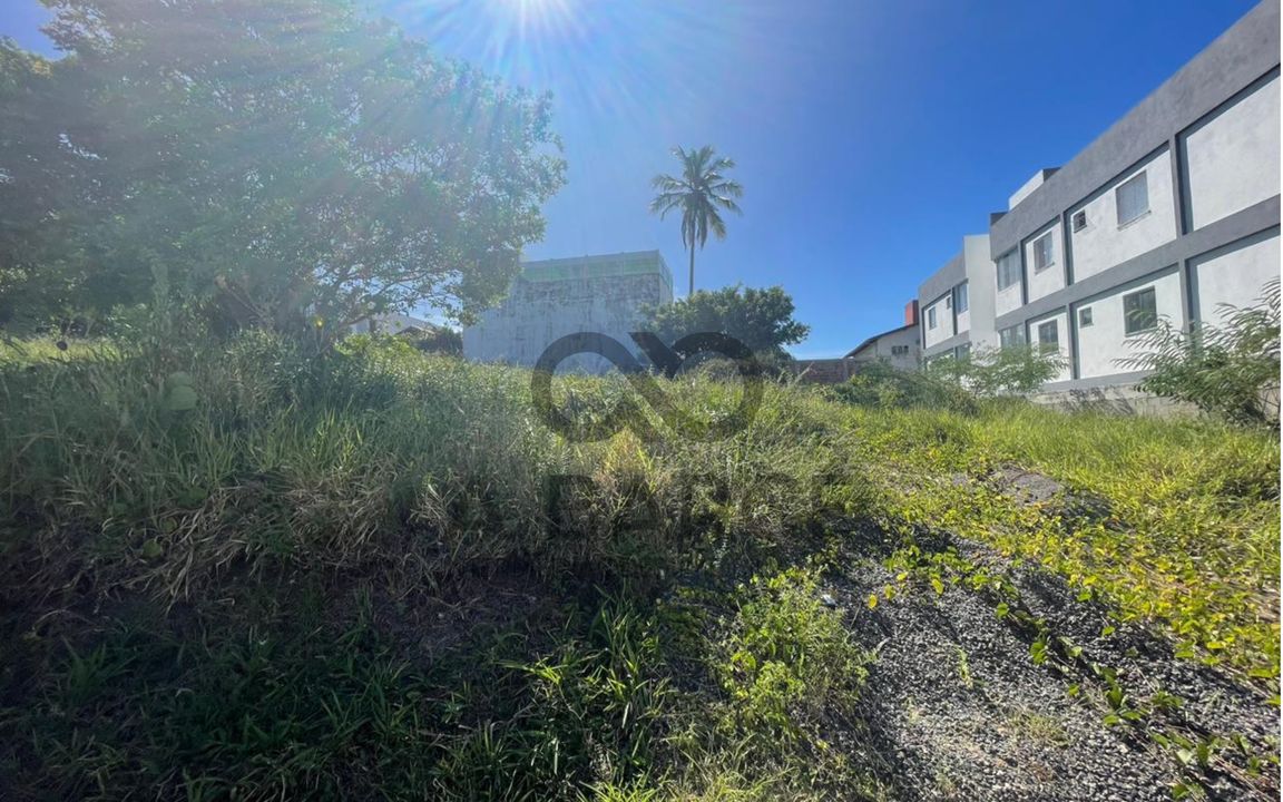 LOTE 539M²  – LOTEAMENTO PÉROLA DO MAR – ILHÉUS/BA - Imagem 5