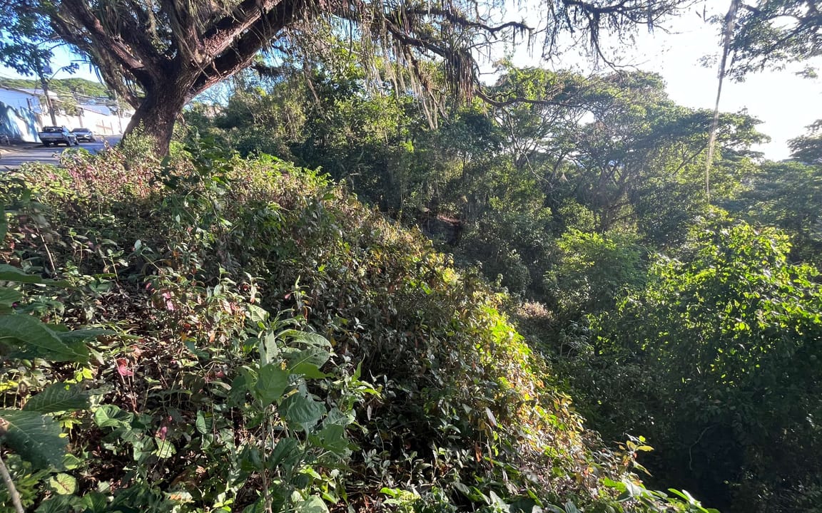 ÁREA 2.305M²  -  GOES CALMON - ITABUNA/BA - Imagem 3