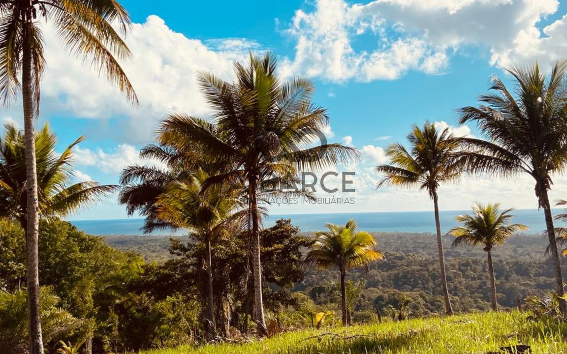 FAZENDA SÃO JORGE 4.5HA - SERRA GRANDE - URUÇUCA/BA - Imagem 4