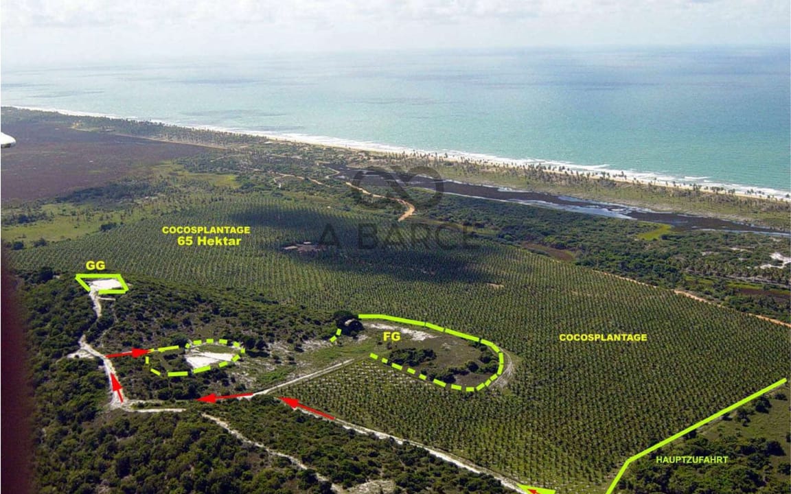 FAZENDA MUMBUCA 65 HA - LITORAL NORTE - SALVADOR/BA - Imagem 2