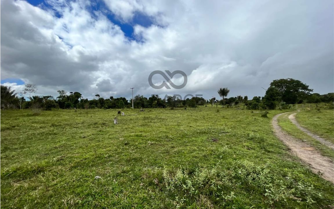 FAZENDA BOA ESPERANÇA 336 HA – OURICANA - CANAVIEIRAS/BA - Imagem 2