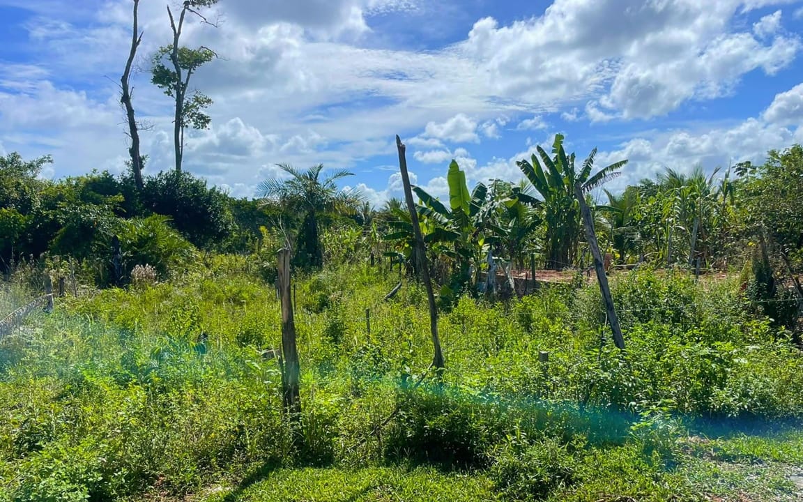 LOTE 400 M² -  COND. JÓIA DO ATLÂNTICO - ILHÉUS/BA - Imagem 2