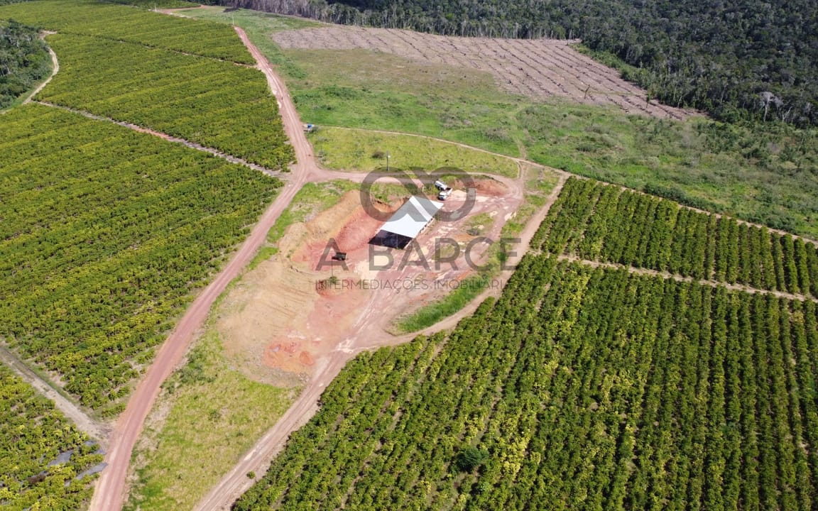 FAZENDA CONJUNTO PARAÍSO - 1820HA - UNA/BA - Imagem 4