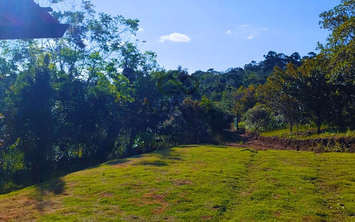 FAZENDA ALTO DA SERRA 21HA - SERRA GRANDE - ITACARÉ/BA