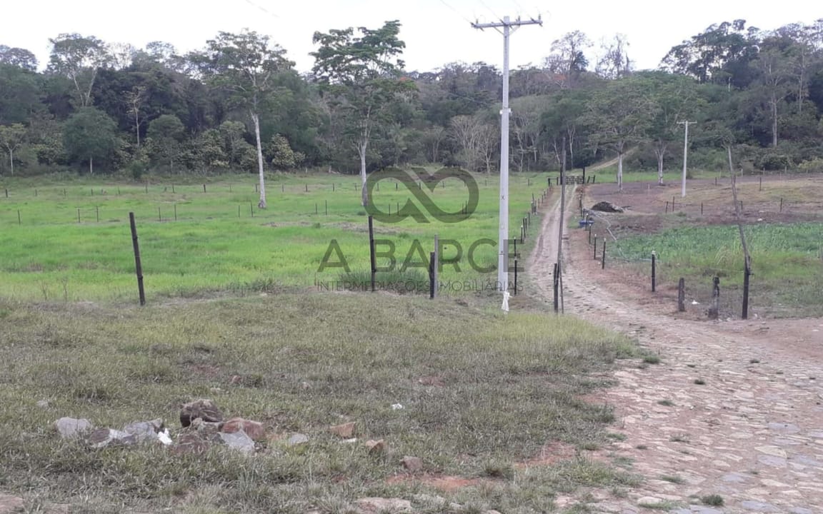 FAZENDA BARRO PRETO 59HA - ILHÉUS x ITAJUÍPE - Imagem 4