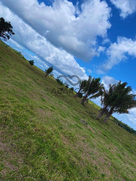 FAZENDA CAMPO DE ZINCO 161HA -CANAVIEIRAS/BA - Imagem 2