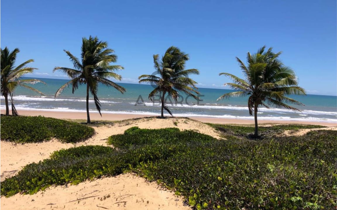 SÍTIO PRAIA DOS MILAGRES DE 16 HA -  CONDE - SALVADOR/BA - Imagem 1