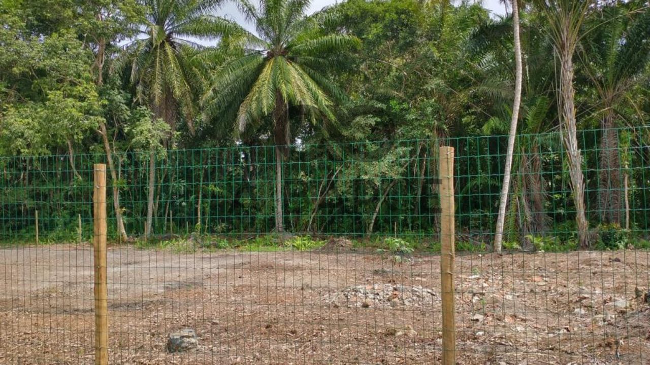 TERRENO 1.815M² - LOT. MAR E SOL - ILHÉUS/BA - Imagem 2