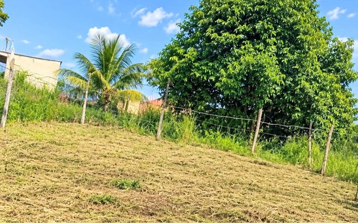 LOTE  140M² –  TREVO SENTIDO CAMAMU  -  ITACARÉ/BA - Imagem 3