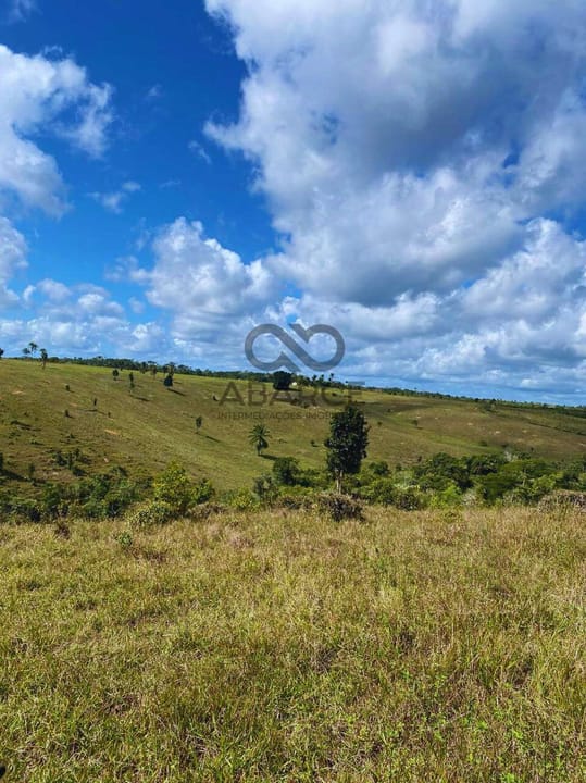 FAZENDA CAMPO DE ZINCO 161HA -CANAVIEIRAS/BA - Imagem 3