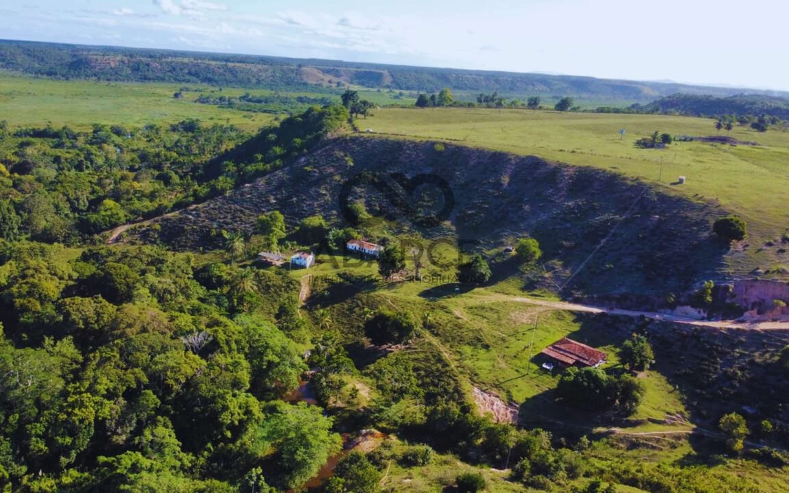 FAZENDA LAGOA DO BOI III COM 686 HA – OURICANA - CANAVIEIRAS/BA - Imagem 2