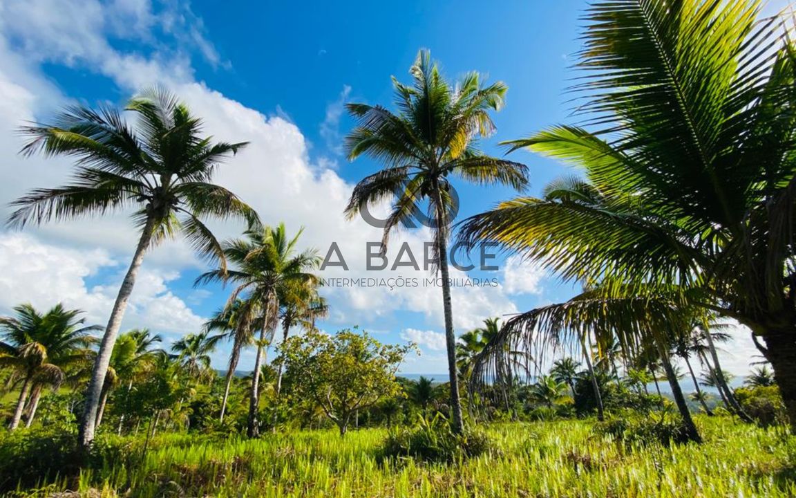 FAZENDA SÃO JORGE 4.5HA - SERRA GRANDE - URUÇUCA/BA