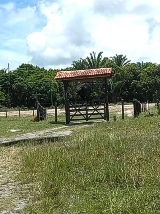 ESTÂNCIA SANTA FÉ 152HA - CANAVIEIRAS/BA - Imagem 2