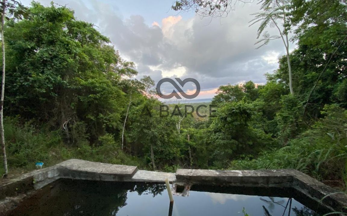 FAZENDA SÃO JORGE 4.5HA - SERRA GRANDE - URUÇUCA/BA - Imagem 3