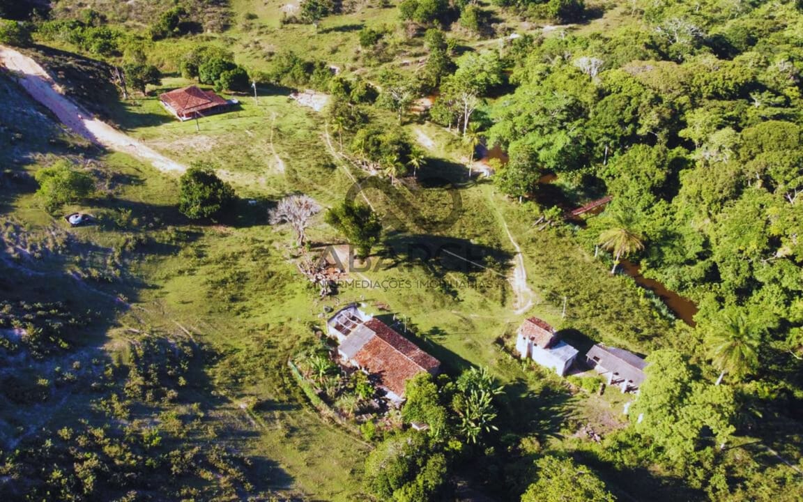 FAZENDA LAGOA DO BOI III COM 686 HA – OURICANA - CANAVIEIRAS/BA - Imagem 1