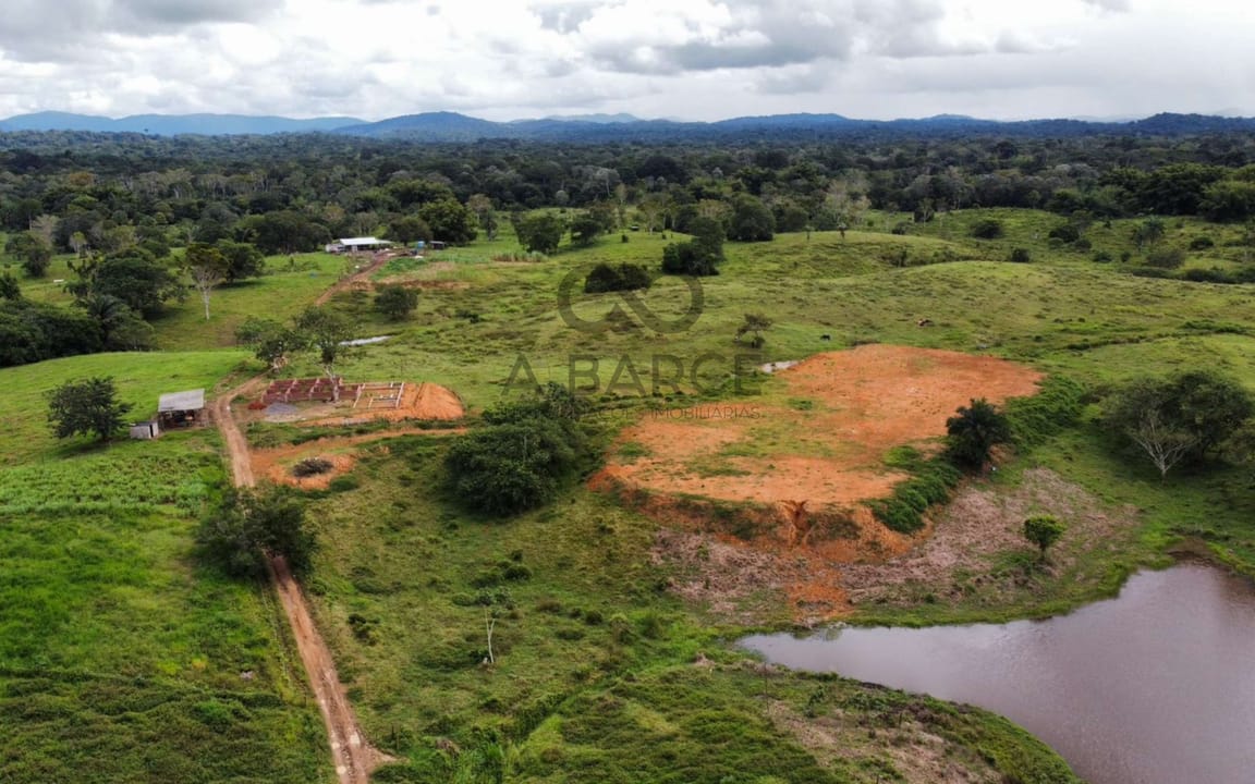 FAZENDA PRIMAVERA 13 HA - CASTELO NOVO - ILHÉUS/BA - Imagem 5