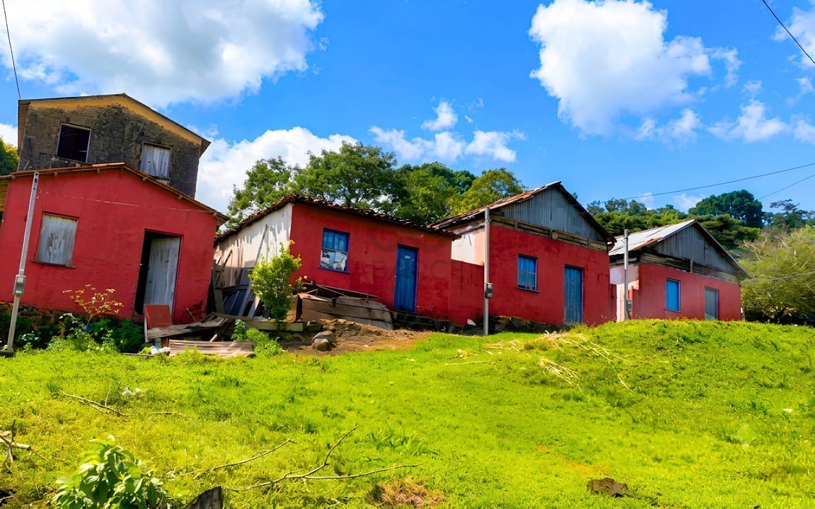 FAZENDA JUSSARA 52HA - BARRO PRETO - COARACI/BA - Imagem 5