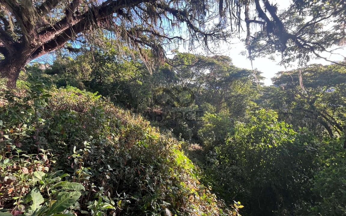 ÁREA 2.305M²  -  GOES CALMON - ITABUNA/BA - Imagem 4