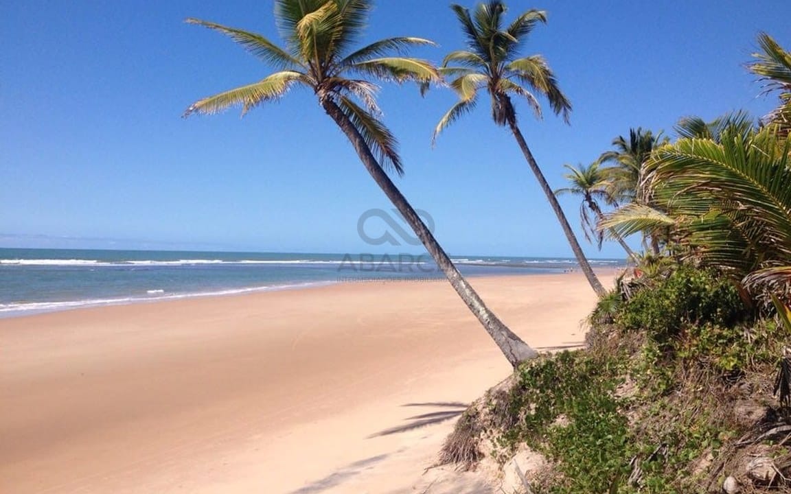LOTE 600M²  -  LOTEAMENTO PRAIAS DE MARAÚ  -  MARAÚ/BA - Imagem 3
