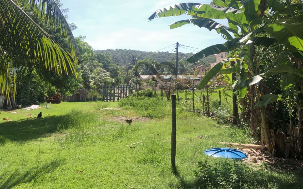  LOTE DE 480M² - COND. SIRIHYBA – ILHÉUS/BA - Imagem 4