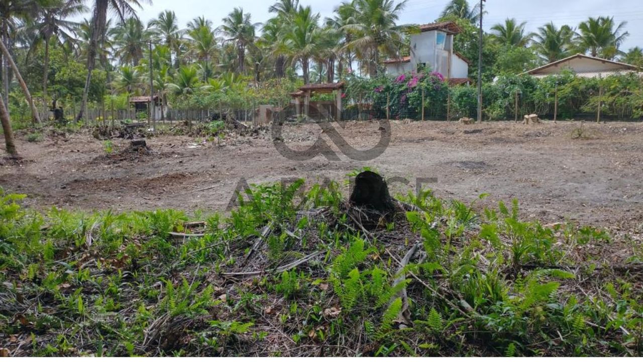 TERRENO 1.815M² - LOT. MAR E SOL - ILHÉUS/BA - Imagem 4
