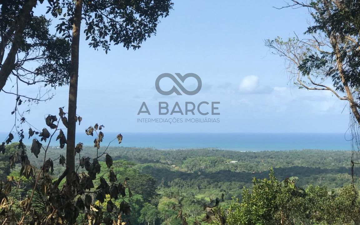 SÍTIO SÃO JORGE  2.600 HA –  VILA TIBINA – IILHÉUS/BA