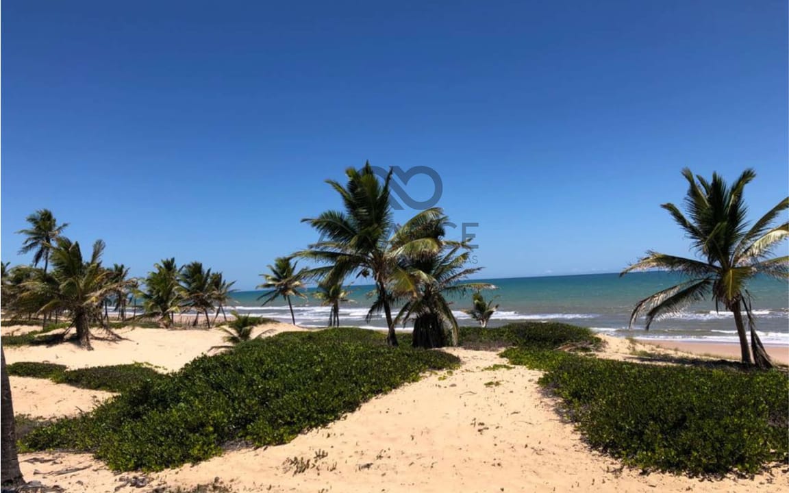 SÍTIO PRAIA DOS MILAGRES DE 16 HA -  CONDE - SALVADOR/BA - Imagem 2