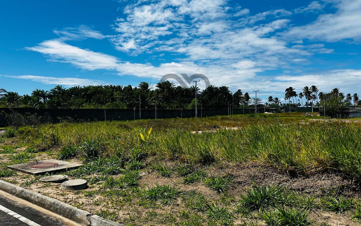 LOTE 500M² -  CONDOMÍNIO ALPHAPARK - ILHÉUS/BA - Imagem 3