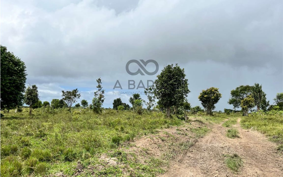 FAZENDA BOA ESPERANÇA 336 HA – OURICANA - CANAVIEIRAS/BA - Imagem 4