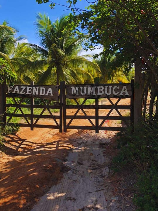FAZENDA MUMBUCA 65 HA - LITORAL NORTE - SALVADOR/BA - Imagem 5