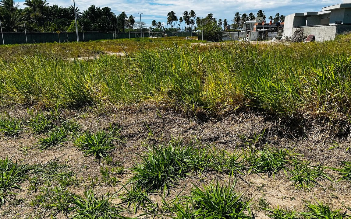 LOTE 500M² -  CONDOMÍNIO ALPHAPARK - ILHÉUS/BA - Imagem 2