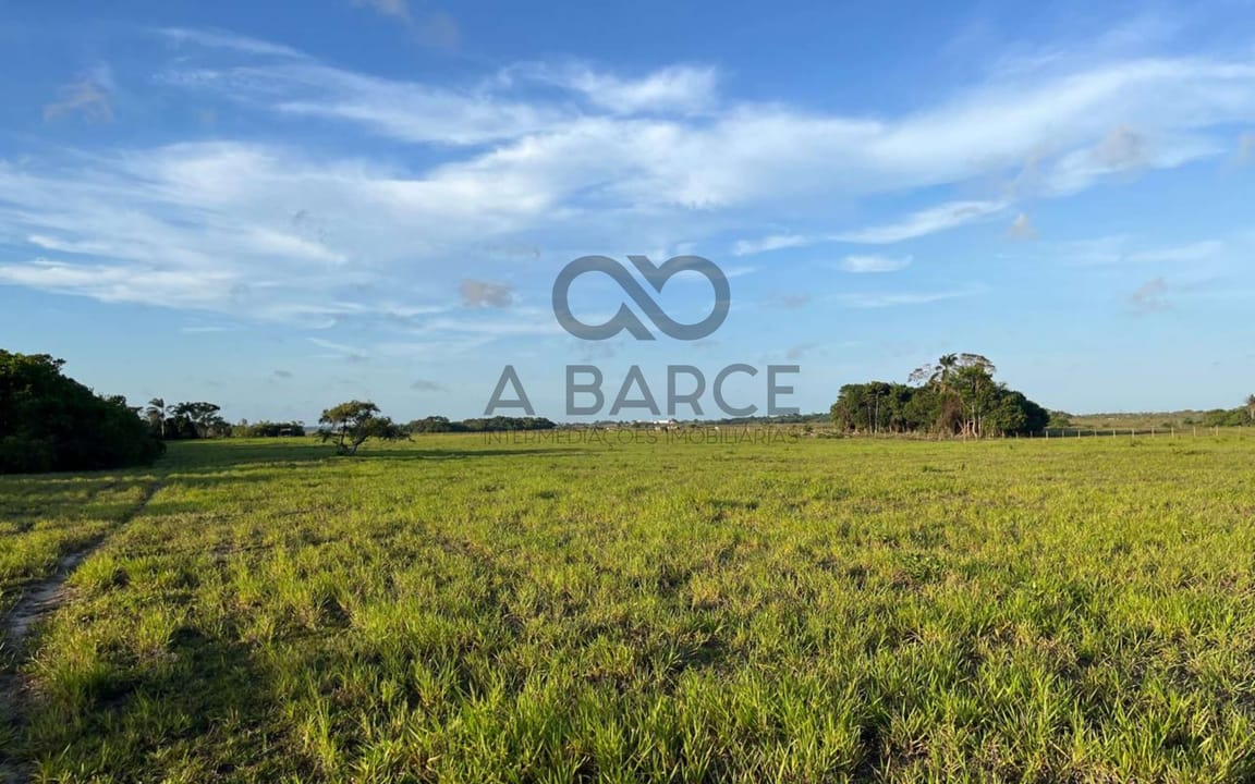 FAZENDA BOA SORTE 105 HECTARES - ALCOBAÇA/BA - Imagem 2