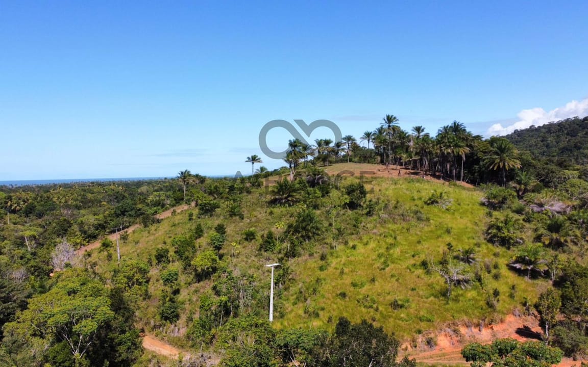 SÍTIO BELA VISTA 2.231 HA - ARITAGUÁ - ILHÉUS/BA - Imagem 2