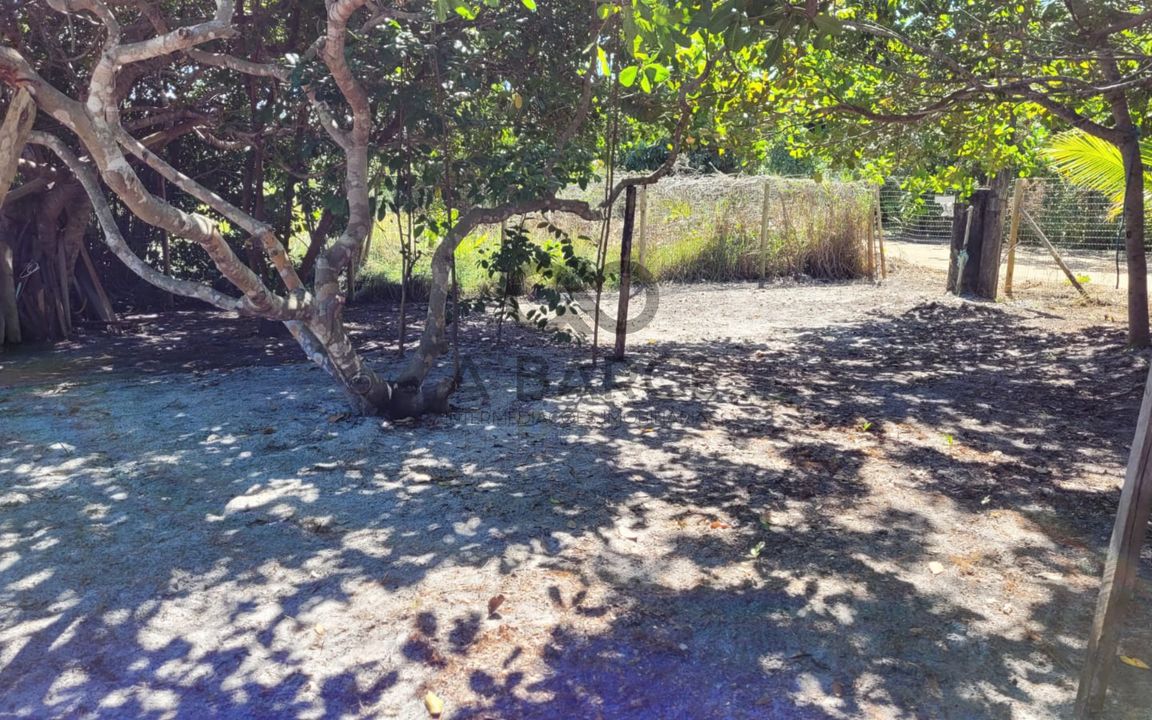 LOTE 450M²– TAIPU DE FORA – BARRA GRANDE/BA - Imagem 5