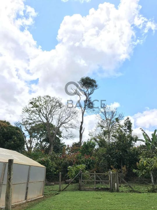FAZENDA SÃO JOÃO 44 HA - URUÇUCA/BA - Imagem 2