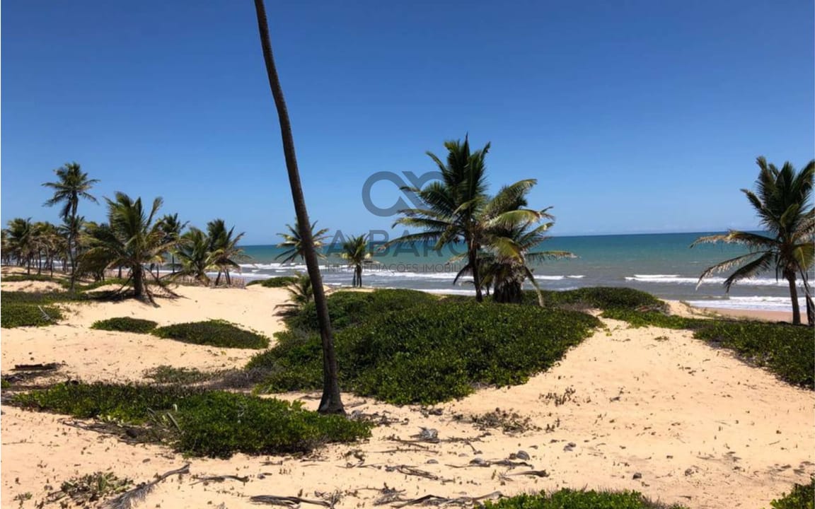 SÍTIO PRAIA DOS MILAGRES DE 16 HA -  CONDE - SALVADOR/BA - Imagem 4