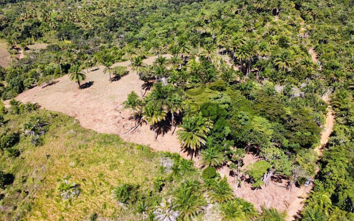 SÍTIO BELA VISTA 2.231 HA - ARITAGUÁ - ILHÉUS/BA - Imagem 5