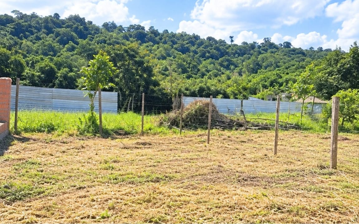 LOTE  140M² –  TREVO SENTIDO CAMAMU  -  ITACARÉ/BA - Imagem 4