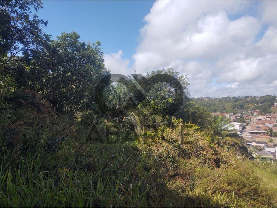 LOTES  1560 M² - LOTEAMENTO PÉROLA DO MAR - ILHÉUS/BA - Imagem 4