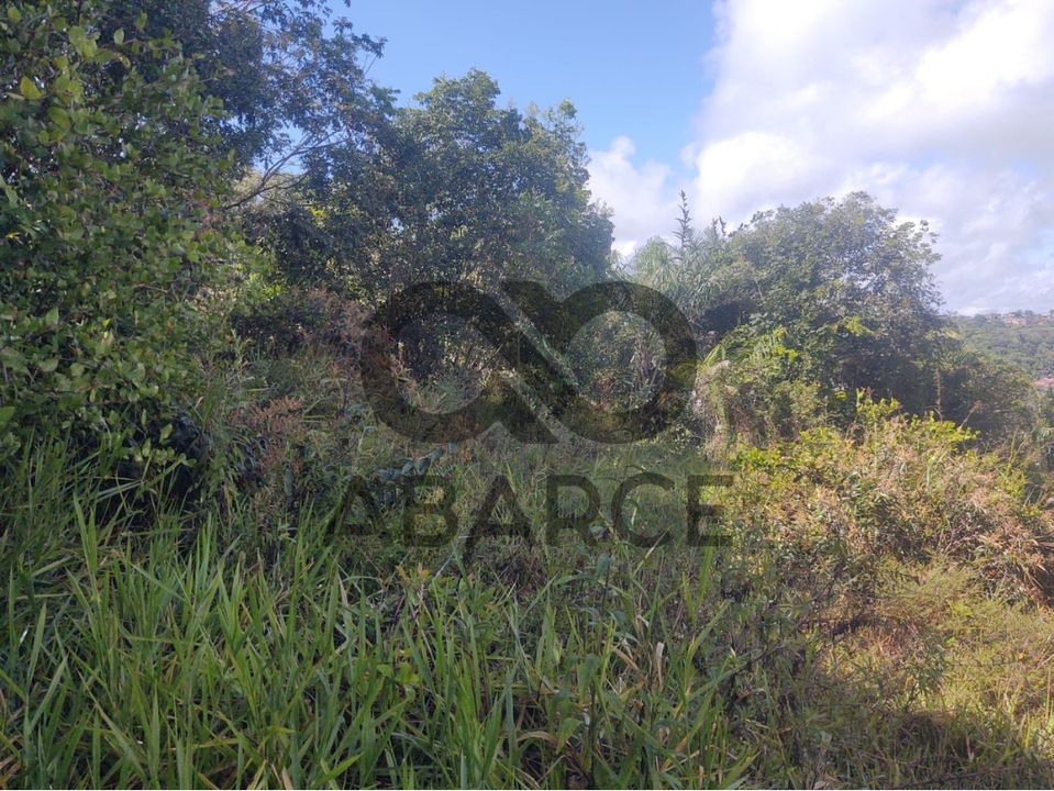 LOTES  1560 M² - LOTEAMENTO PÉROLA DO MAR - ILHÉUS/BA - Imagem 5