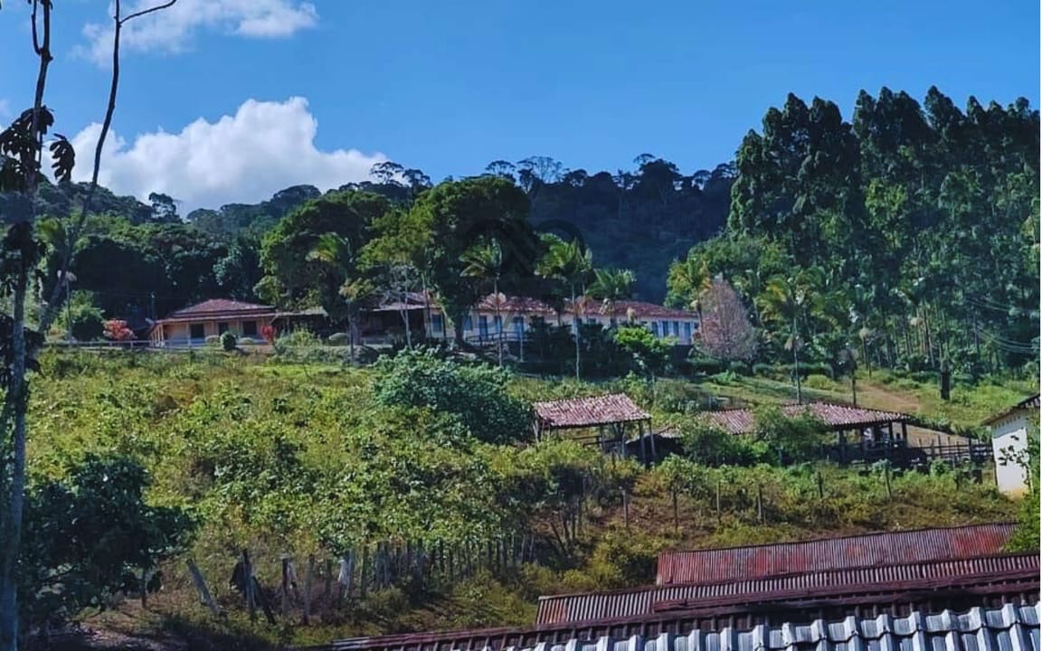FAZENDA 660 HA - URUÇUCA/BA - Imagem 3