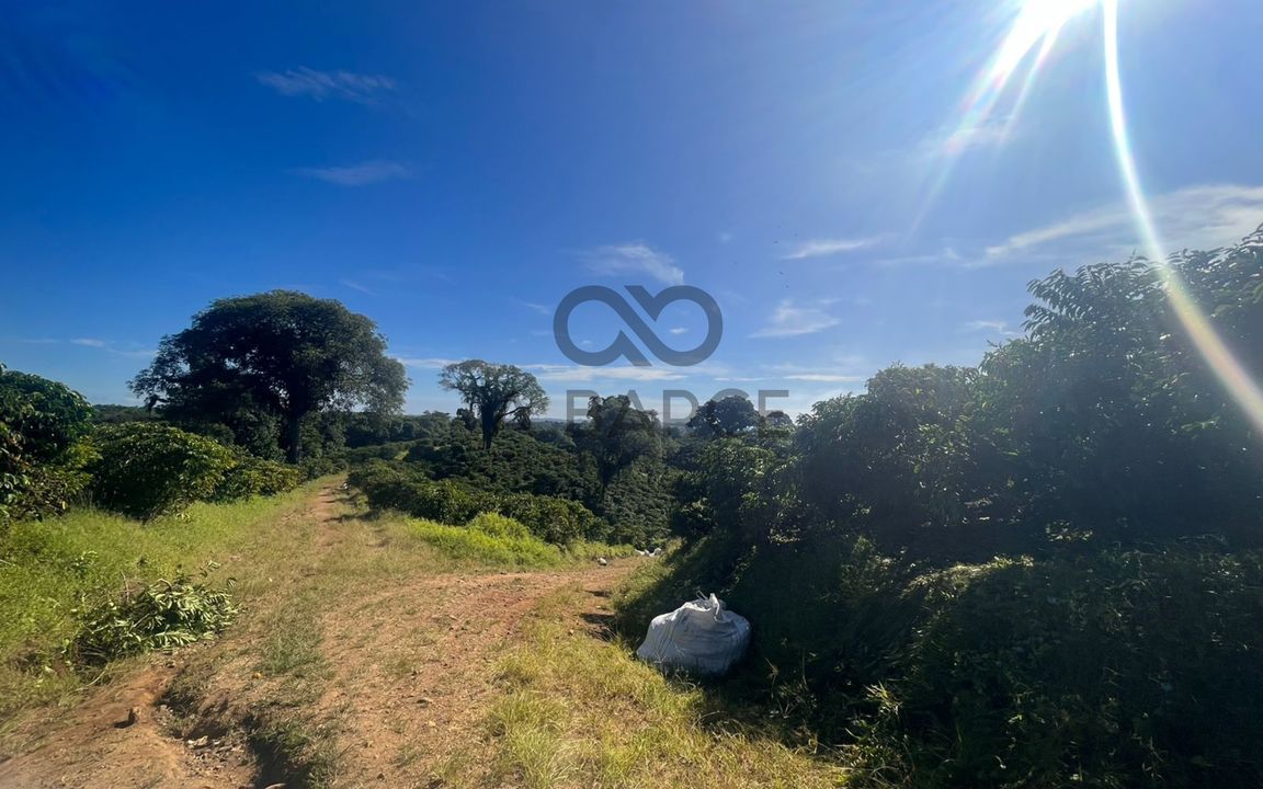 FAZENDA DUAS BARRAS E SOSSEGO 205 HA – ZONA RURAL - ILHÉUS/BA - Imagem 5