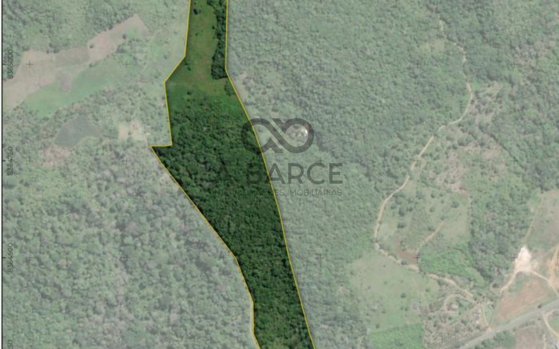 FAZENDA IBAITI  18 HA - BANCO DA VITÓRIA - ILHÉUS/BA - Imagem 1