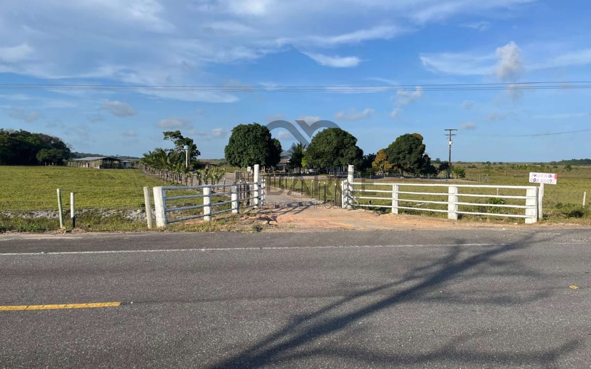 FAZENDA BOA SORTE 105 HECTARES - ALCOBAÇA/BA - Imagem 3