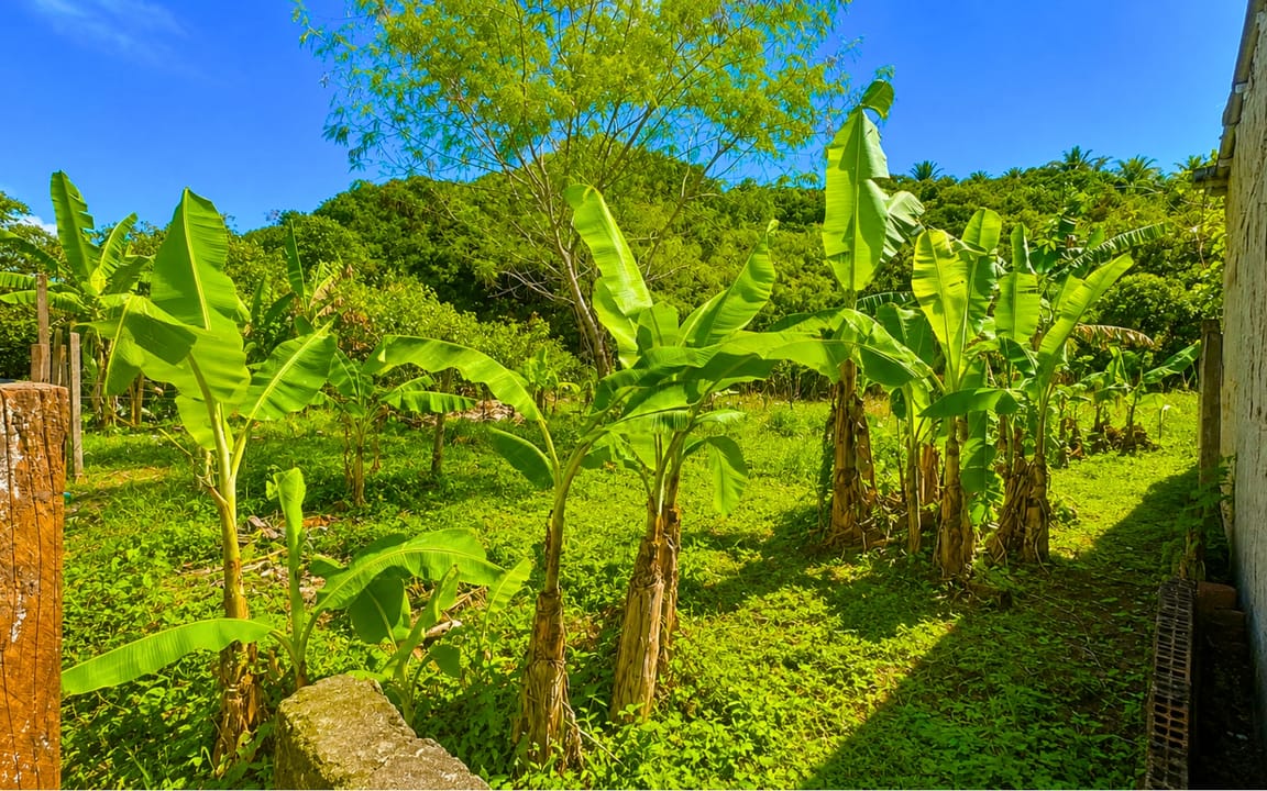 LOTE  300M² – ILHÉUS II – ILHÉUS/BA - Imagem 3