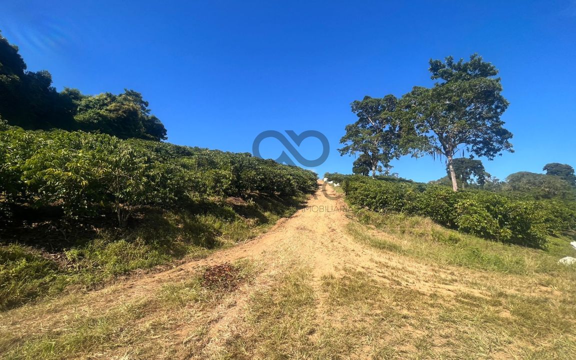 FAZENDA DUAS BARRAS E SOSSEGO 205 HA – ZONA RURAL - ILHÉUS/BA - Imagem 4